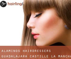 Alaminos hairdressers (Guadalajara, Castille-La Mancha)