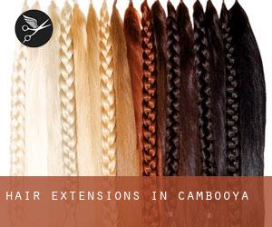 Hair Extensions in Cambooya