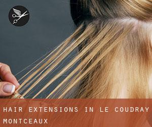 Hair Extensions in Le Coudray-Montceaux