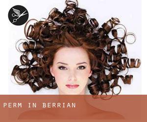 Perm in Berrian