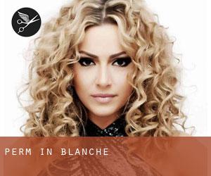 Perm in Blanche