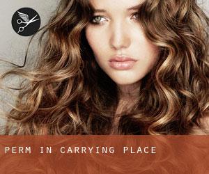 Perm in Carrying Place