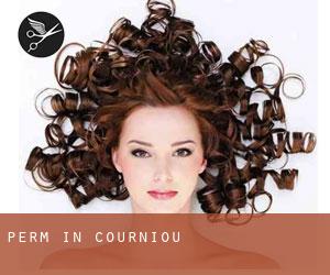 Perm in Courniou