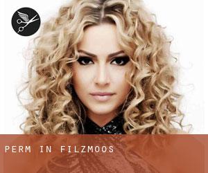 Perm in Filzmoos