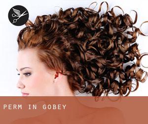 Perm in Gobey