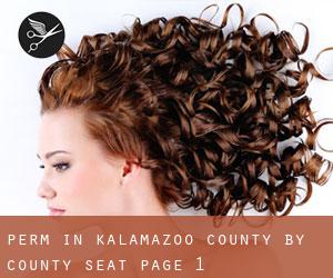 Perm in Kalamazoo County by county seat - page 1