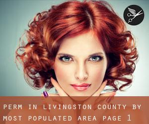Perm in Livingston County by most populated area - page 1