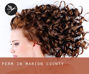 Perm in Marion County