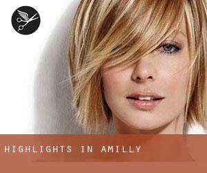 Highlights in Amilly