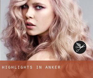 Highlights in Anker