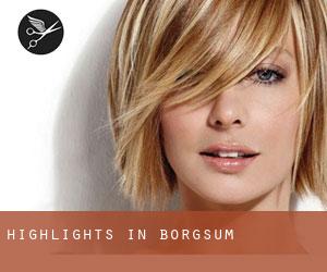 Highlights in Borgsum