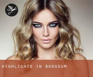 Highlights in Borgsum