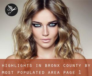 Highlights in Bronx County by most populated area - page 1