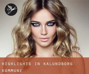 Highlights in Kalundborg Kommune