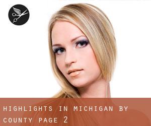 Highlights in Michigan by County - page 2