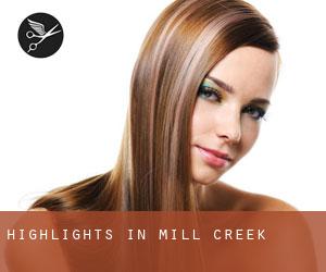 Highlights in Mill Creek