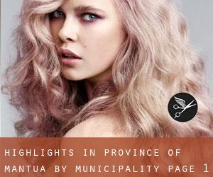 Highlights in Province of Mantua by municipality - page 1