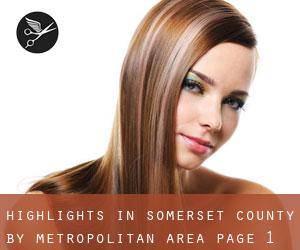 Highlights in Somerset County by metropolitan area - page 1