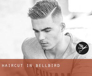 Haircut in Bellbird