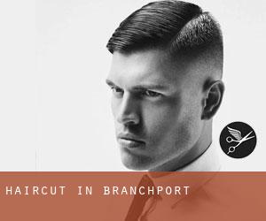 Haircut in Branchport