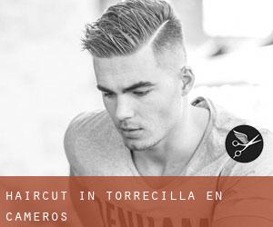 Haircut in Torrecilla en Cameros