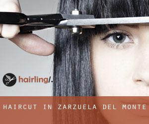 Haircut in Zarzuela del Monte