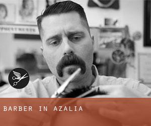 Barber in Azalia