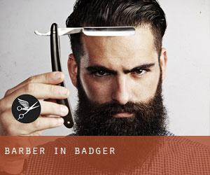 Barber in Badger