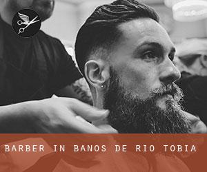 Barber in Baños de Río Tobía