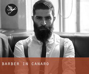 Barber in Canaro