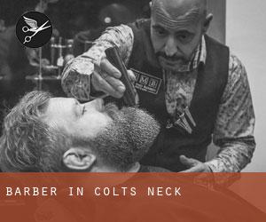 Barber in Colts Neck