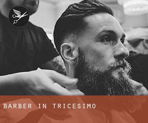 Barber in Tricesimo