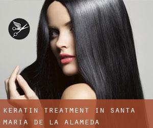 Keratin Treatment in Santa María de la Alameda