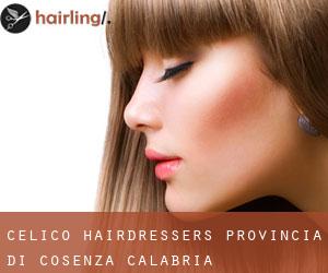 Celico hairdressers (Provincia di Cosenza, Calabria)