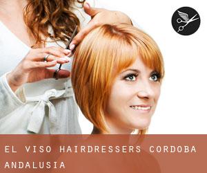 El Viso hairdressers (Cordoba, Andalusia)