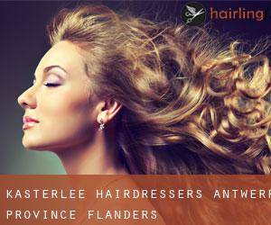 Kasterlee hairdressers (Antwerp Province, Flanders)