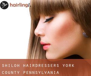 Shiloh hairdressers (York County, Pennsylvania)