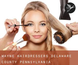 Wayne hairdressers (Delaware County, Pennsylvania)